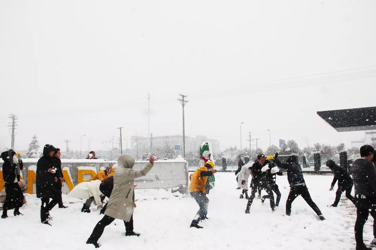 贝斯特 - 全球最奢华的游戏平台